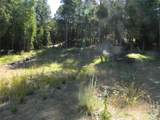 0 Tbd Snowbunny Ridge Drive - Photo 6