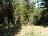 0 Tbd Snowbunny Ridge Drive - Photo 9