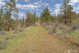 4681 Brisky Canyon Road - Photo 6