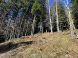9999 Lake Dawn Road - Photo 14