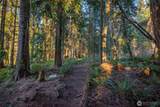 5455 No Name Road - Photo 38