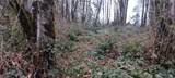 0 County Line Road - Photo 1