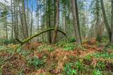 0 220th Street - Photo 17