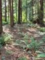 35275 Hood Canal Drive - Photo 11
