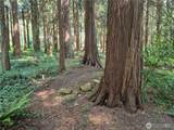 35275 Hood Canal Drive - Photo 9