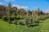 26663 Big Valley Road - Photo 9