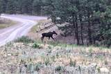2 Mist Lake Road - Photo 1