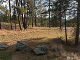 2 Mist Lake Road - Photo 2