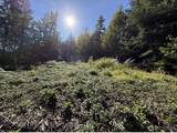 0 Chelsamish Drive - Photo 2