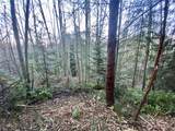 0 Chelsamish Drive - Photo 11
