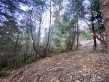 0 Chelsamish Drive - Photo 13