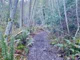 0 Chelsamish Drive - Photo 20
