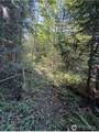 0 Chelsamish Drive - Photo 24