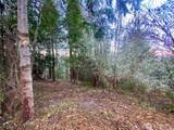 0 Chelsamish Drive - Photo 7