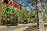 51 Big Bug Lane - Photo 15