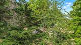 9 XX Webster Street - Photo 9