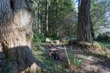 11648 Vipond Drive - Photo 16