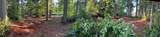 4076 Preserve Dr. - Photo 18