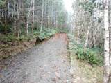 3017 Graf Road - Photo 23