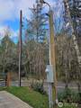 3017 Graf Road - Photo 25
