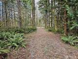 3017 Graf Road - Photo 28
