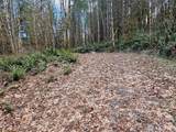 3017 Graf Road - Photo 38