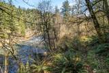 35034 5th Street - Photo 4