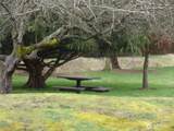 10509 Yelm Terra Street - Photo 23