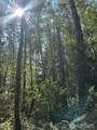 0 xxx Forest View Lane - Photo 1