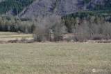 0 Us Hwy. 12 - Photo 8