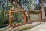 9904 124th Street - Photo 30