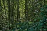 0 Leaf Lane - Photo 19