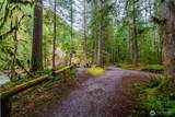 10500 Mt Baker Hwy - Photo 37