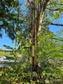 22550 Sr-3 Highway - Photo 2
