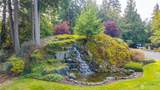 11733 Hummingbird Lane - Photo 38