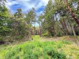 136 Discovery Crest Pl - Photo 22