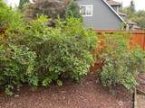 12312 9th Street - Photo 18
