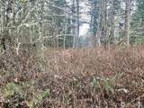 4 NKA Go Onna Drive - Photo 5