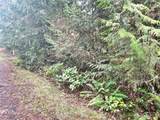 4 NKA Go Onna Drive - Photo 7