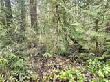 3 NKA Go Onna Drive - Photo 5