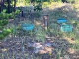 30305 I Street - Photo 3