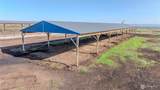 1400 Lewandowski Road - Photo 15