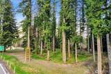 0 Mt Baker Highway - Photo 3