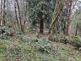 573 Clearwater Road - Photo 28