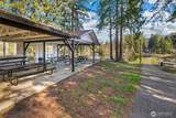 51 Canna Place - Photo 33