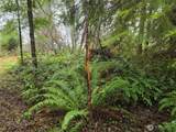 0 Lot 1&2 Elk Hill Road - Photo 2