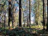 9999 Sequim Ave Parcel B - Photo 11