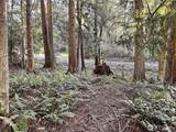 9999 Sequim Ave Parcel B - Photo 12
