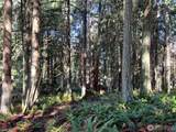 9999 Sequim Ave Parcel B - Photo 15