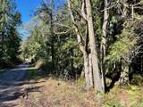 9999 Sequim Ave Parcel B - Photo 7